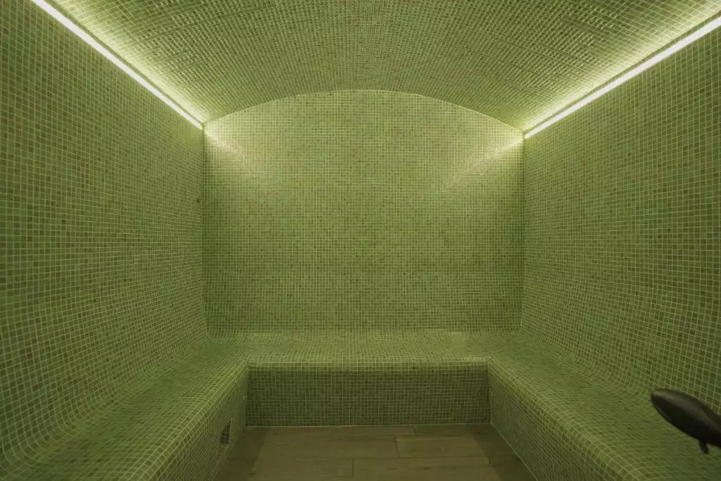 سونا بخار هتل رزیدنس گودائوری هیلز